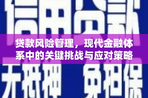 深坑贷款风险管理，现代金融体系中的关键挑战与应对策略