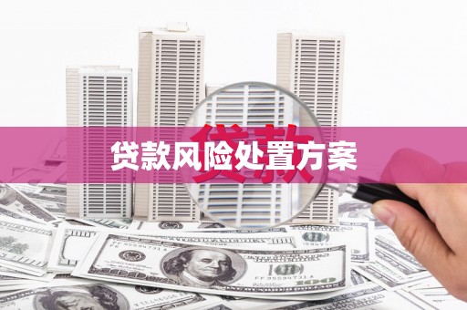 深坑贷款风险处置方案