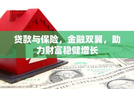 深坑贷款与保险，金融双翼，助力财富稳健增长