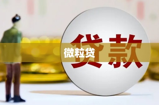 深坑微粒贷