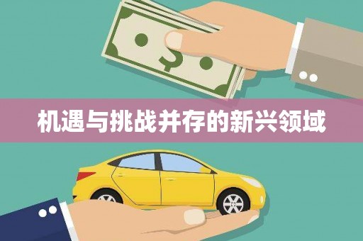 深坑机遇与挑战并存的新兴领域