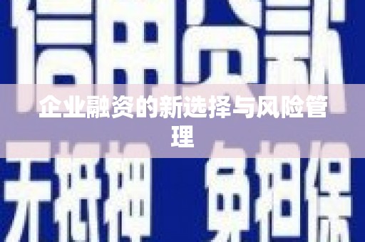 深坑企业融资的新选择与风险管理