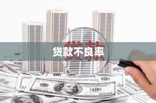 深坑贷款不良率